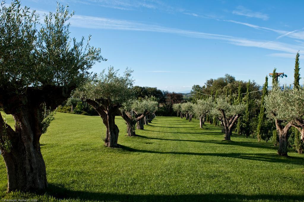 Tenuta Di Petriolo Guest House Torrita di Siena Exterior foto
