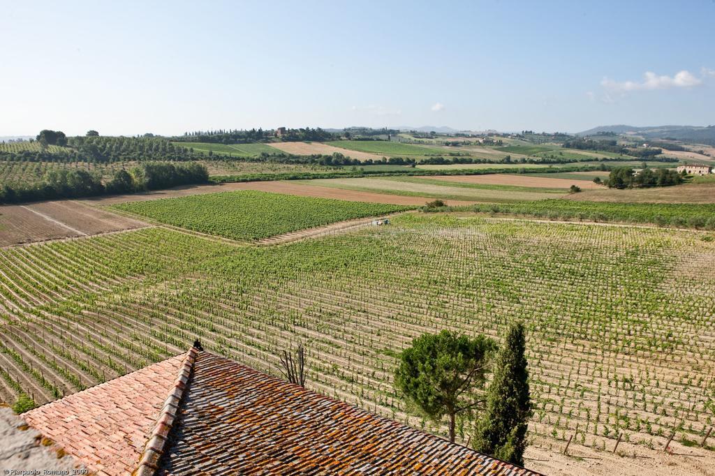 Tenuta Di Petriolo Guest House Torrita di Siena Exterior foto